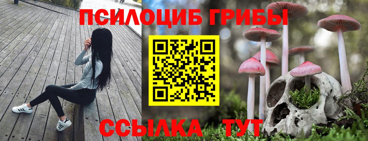 Псилоцибиновые грибы мухоморы Кунгур