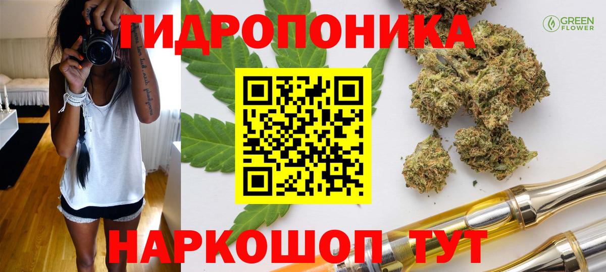 Бошки марихуана гибрид  Каннабис конопля  Кунгур  Вход с VPN  Канабис VHQ 